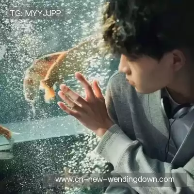 万桢翼